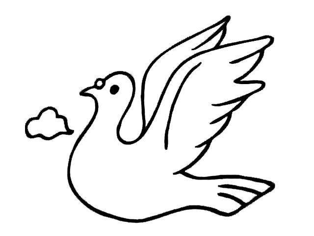 和平鸽的简笔画(简笔画:高清鸽子简笔画,快收藏起来,让孩子放假了练习