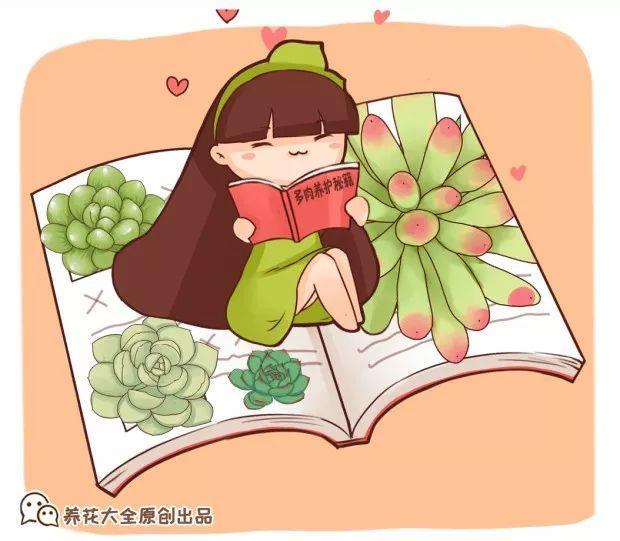 多肉养护大总结,这7点学会了,啥肉都能养得活