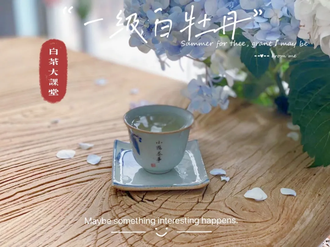 绿茶是什么茶（五个角度手把手教你读懂绿茶）