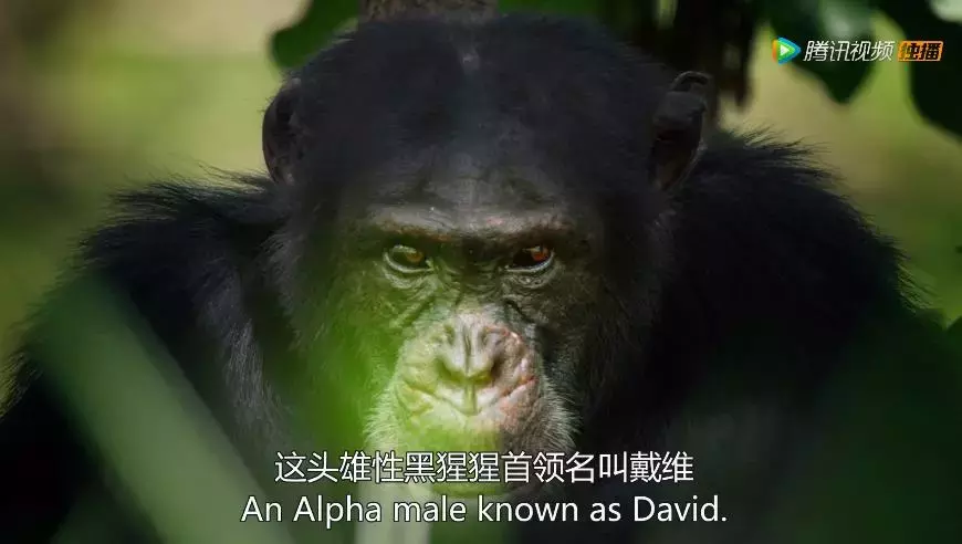 有的做人不及格,有的做到近满分