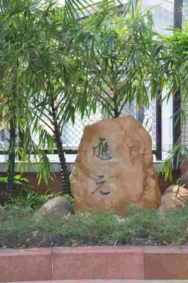 越秀区热门民校信息大盘点！2020民办怎么选？