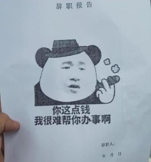 00后的“任性辞职信”，连理由都懒得编了，这是在炒老板吧