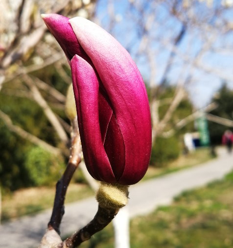 立春·邱承彬邱木兮二十四节气诗