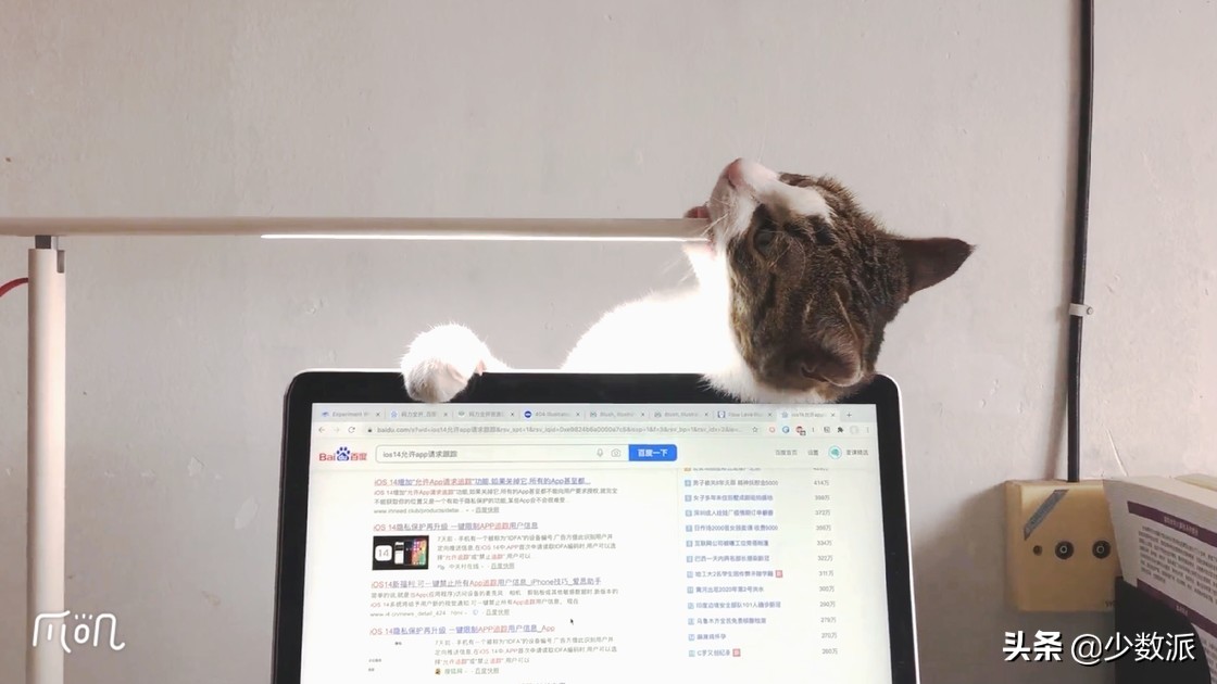 注册猫舍（在猫咪收养之前）