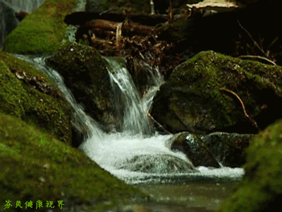 快来向水学习！