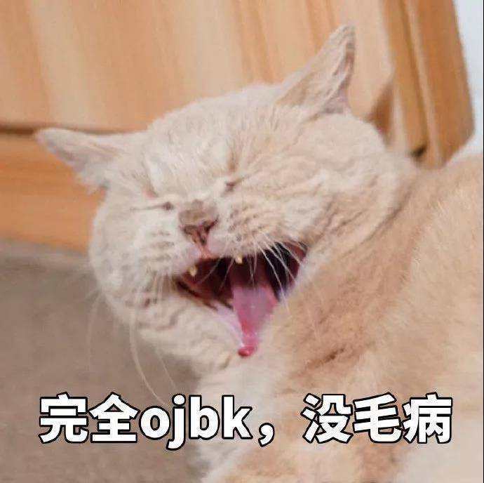 猫咪表情包OK系列：我觉得OK