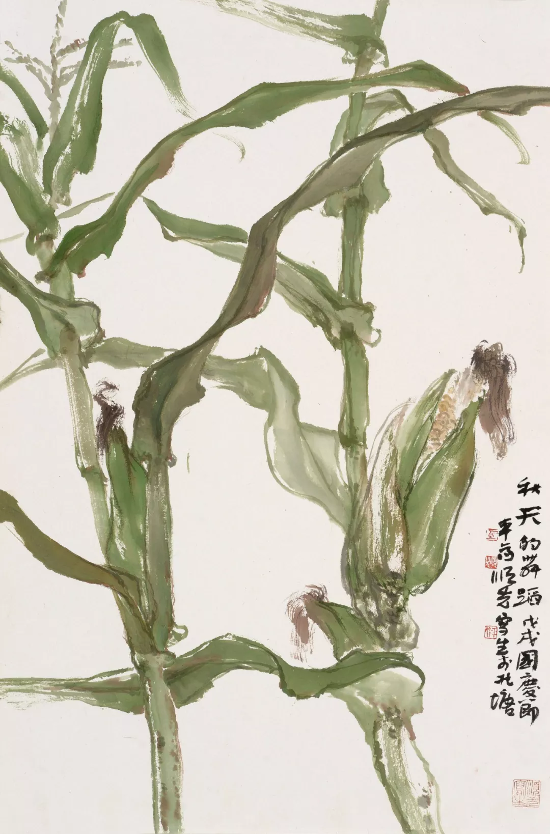 田野畅想曲 | 马顺先的玉米写生