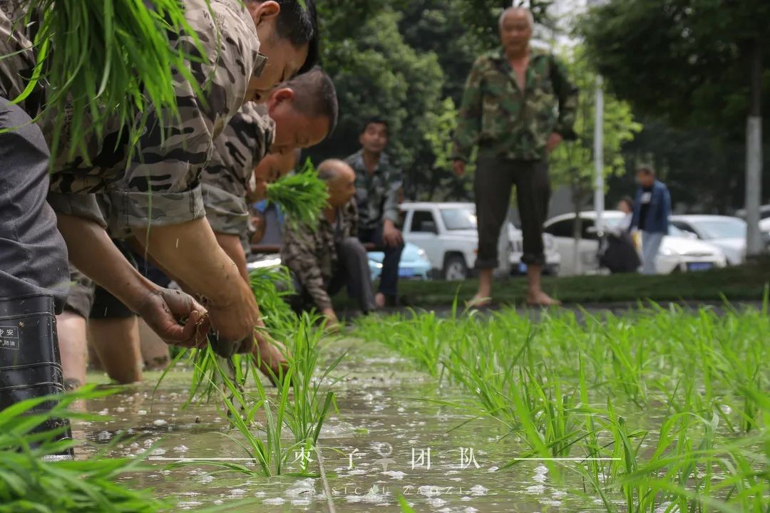占地4500亩，坐拥3个校区，四川这所“双一流”火了，依山傍水风光绝美！
