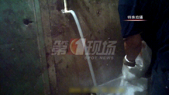 吃饭时勿点！用脚踩、用生石灰泡，这些老牌火锅店的牛肚清洗方法曝光