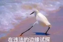 买驾照？清醒点，这是犯罪行为！