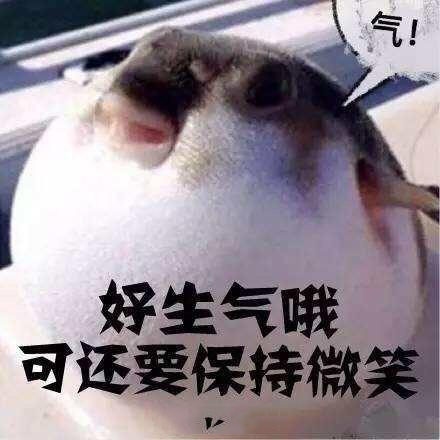 气鼓鼓表情包合集