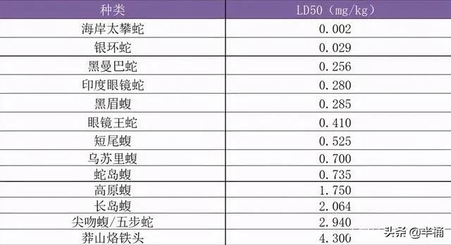被称为“蛇中熊猫”的莽山烙铁头，凭什么一条价值上百万？
