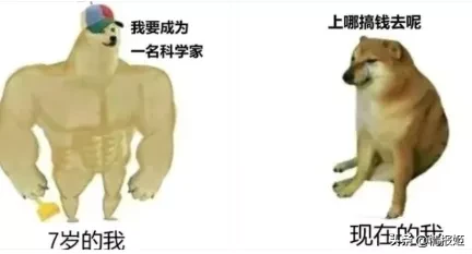 那只活在表情包里的柴犬doge,现在又进化了?
