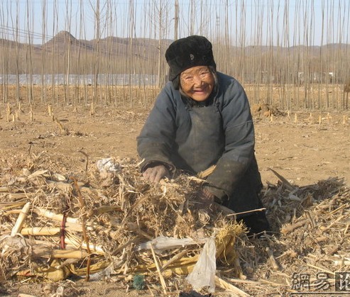 儿呀，娘想做你家的一条狗（看完，真的流泪了）