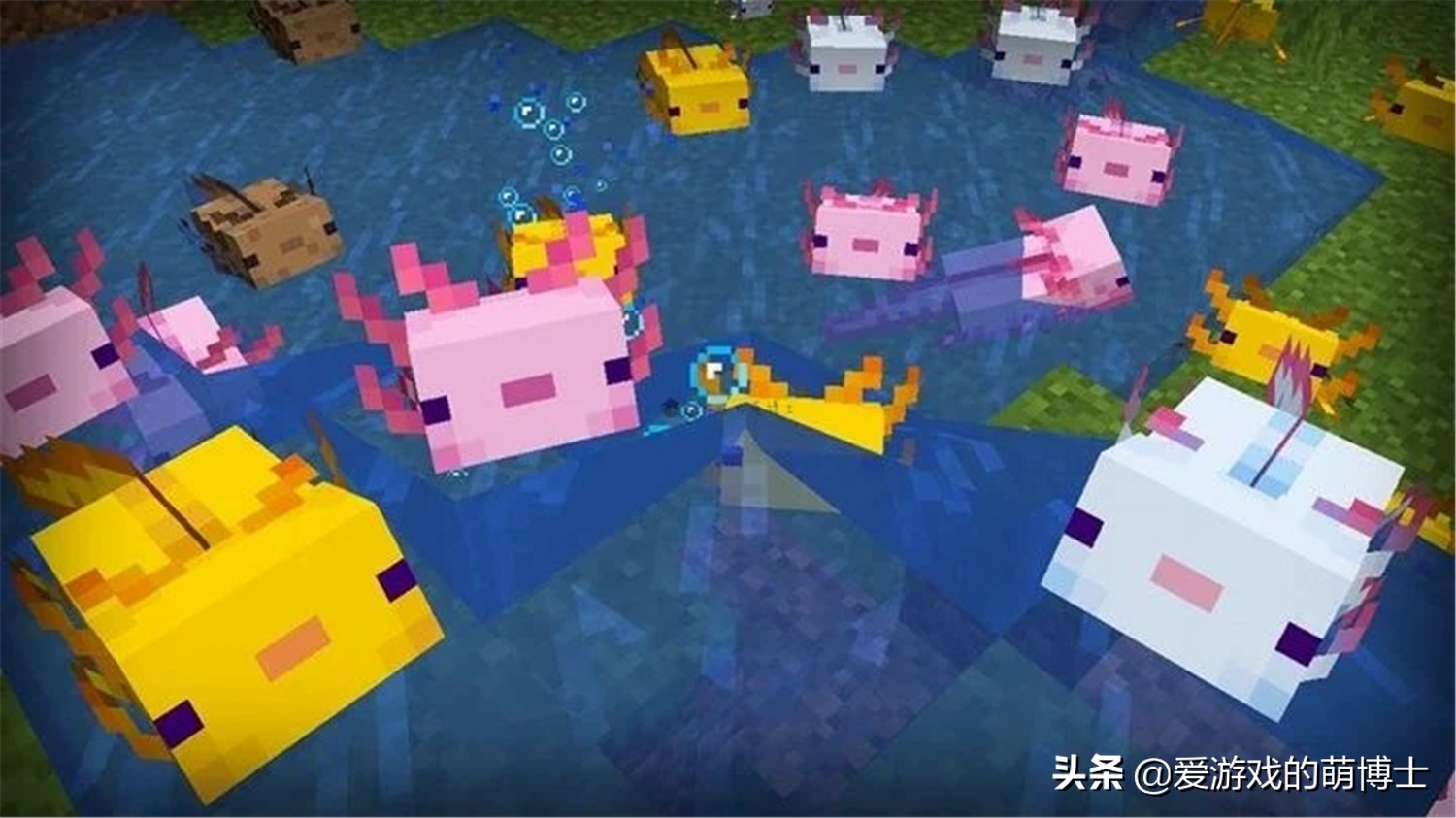 一个小时350个左右，玩家在《我的世界》中发现了量产钻石的方法