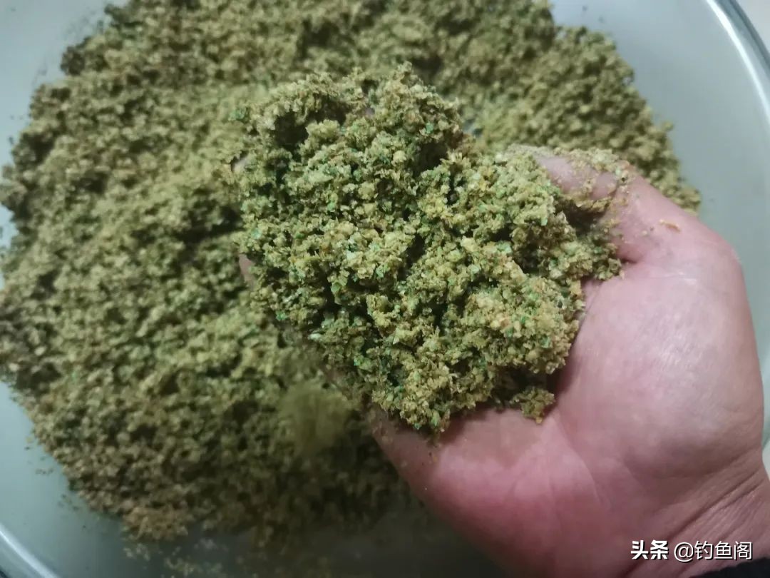 它是钓草鱼的必备状态饵，好用又不贵，论麸皮的正确用法