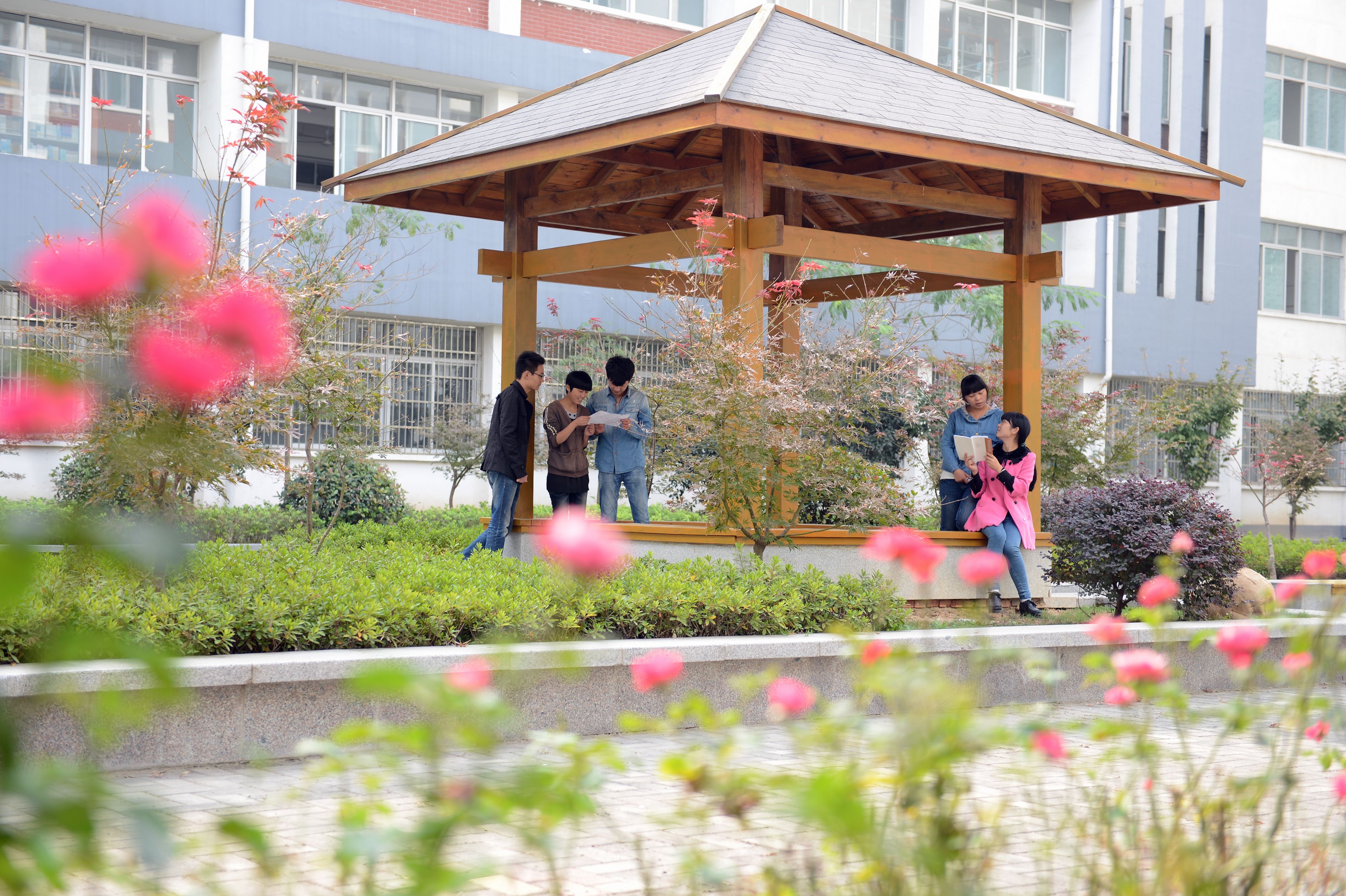 速看！安徽省亳州学院2020年招生简章公布