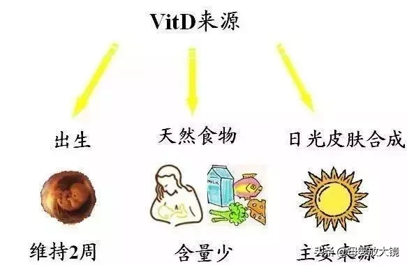 幼儿度苦夏，秋凉把钙加：秋季是宝宝补钙、长个黄金期，不要错过