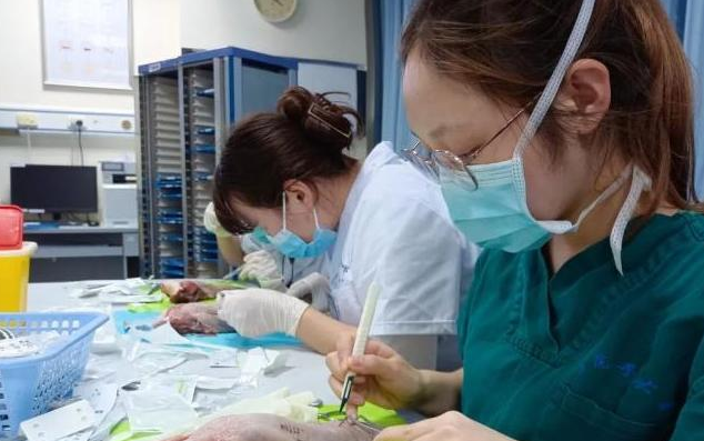 四川大学一寝室，6名女生集体保研名校，网友称赞才华与美貌兼备