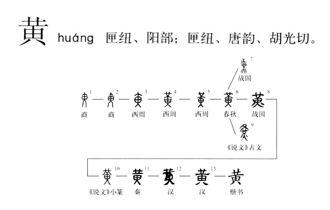 汉字探源:黄字本义原来是一只昆虫