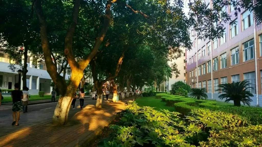 最新2022年广西自治区高职院校排名出炉：广西职业技术学院领跑