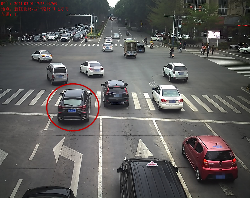 交通违法曝光！