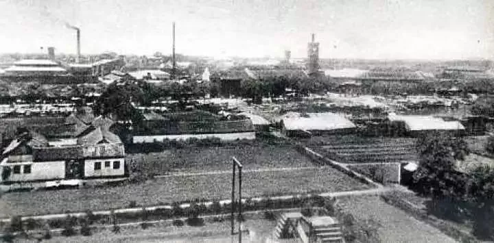 为给老板庆生，全体员工自愿周日不休息