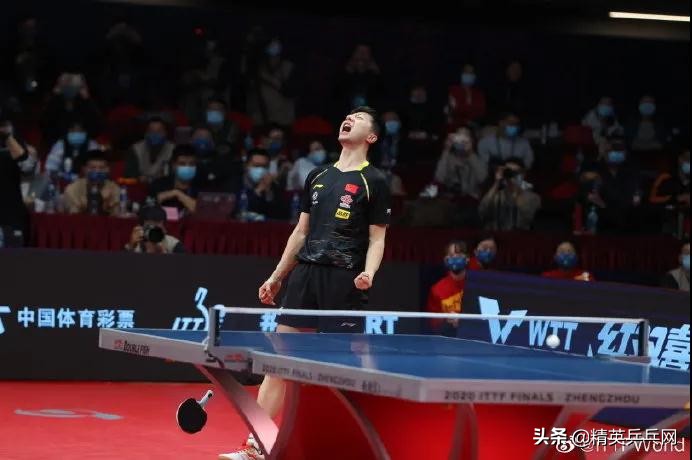乒坛巨星器材揭秘：十大经典反手套胶与总决赛23强球拍配置全解析