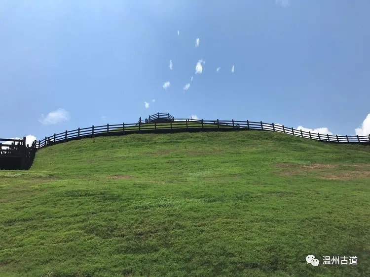 我心飞扬，在云岚牧场