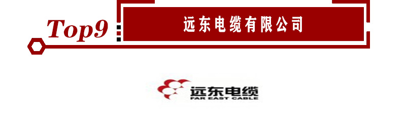 2020年电线电缆十大品牌企业