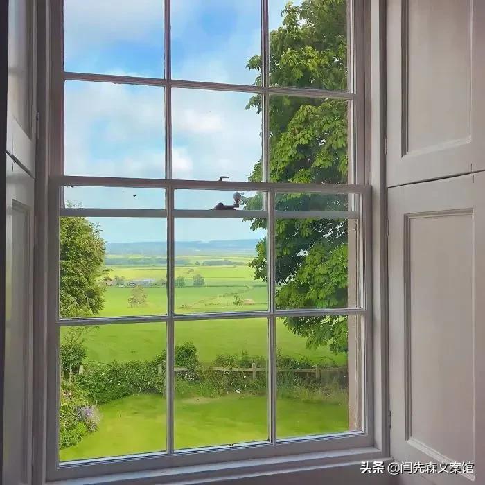 最让你心动的一句情话是什么