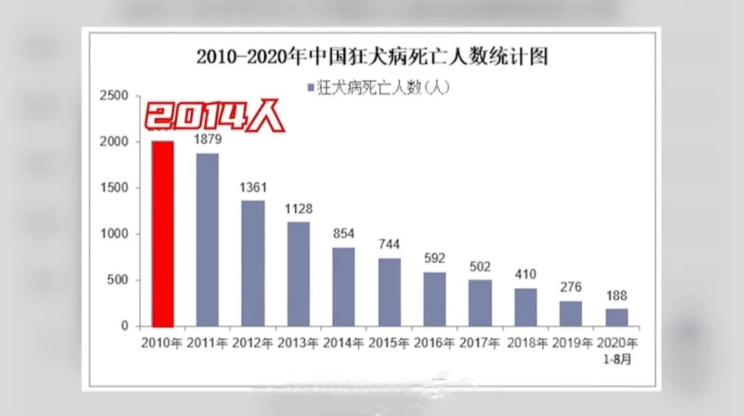 致命萌物，盘点七大能杀死你的可爱动物