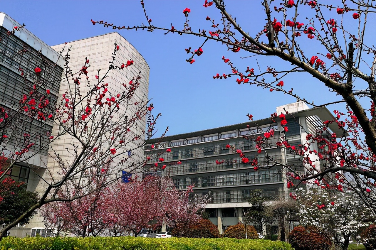 这四所专科院校，教学质量一点都不差，就业前景和985高校一样