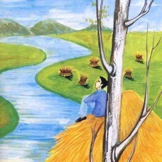 《青铜葵花》：生活再苦，有爱的地方就是天堂