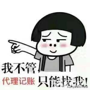 北京春雪会计服务有限公司（春雪代理记账的优势）