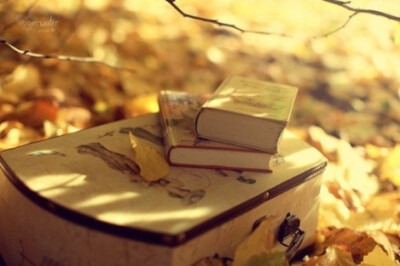 散文：一怀秋之私语，一杯午后的咖啡(咖啡情感励志文学)