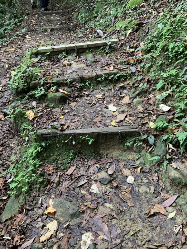 穿上Columbia哥伦比亚防水徒步鞋，随时说走就走的轻松郊外游