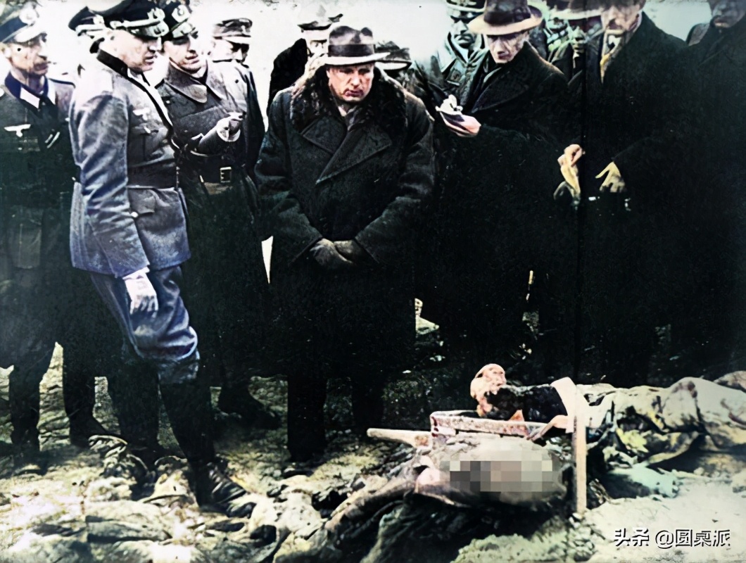 卡廷森林事件：苏联逮捕了25万波兰俘虏，为什么只对这2万人下毒手。
