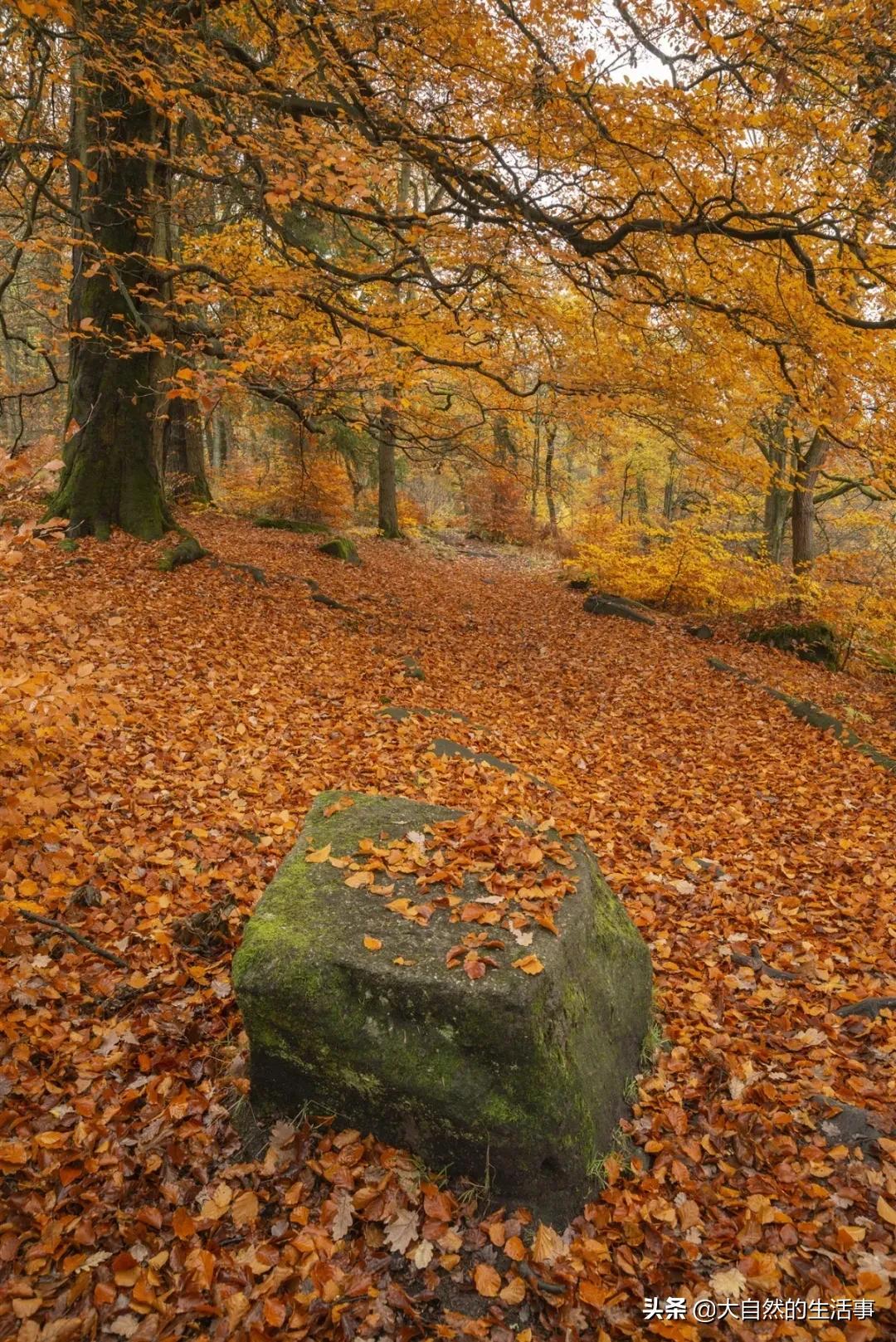 人心,都是慢慢变冷的