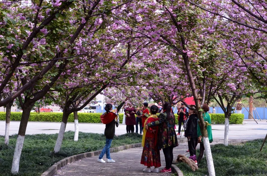 再见，宜宾职业技术学院