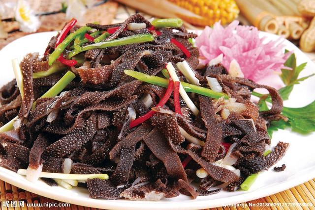 牛百叶可以放冰箱冷冻吗（牛百叶怎么保存）插图V8SEO
