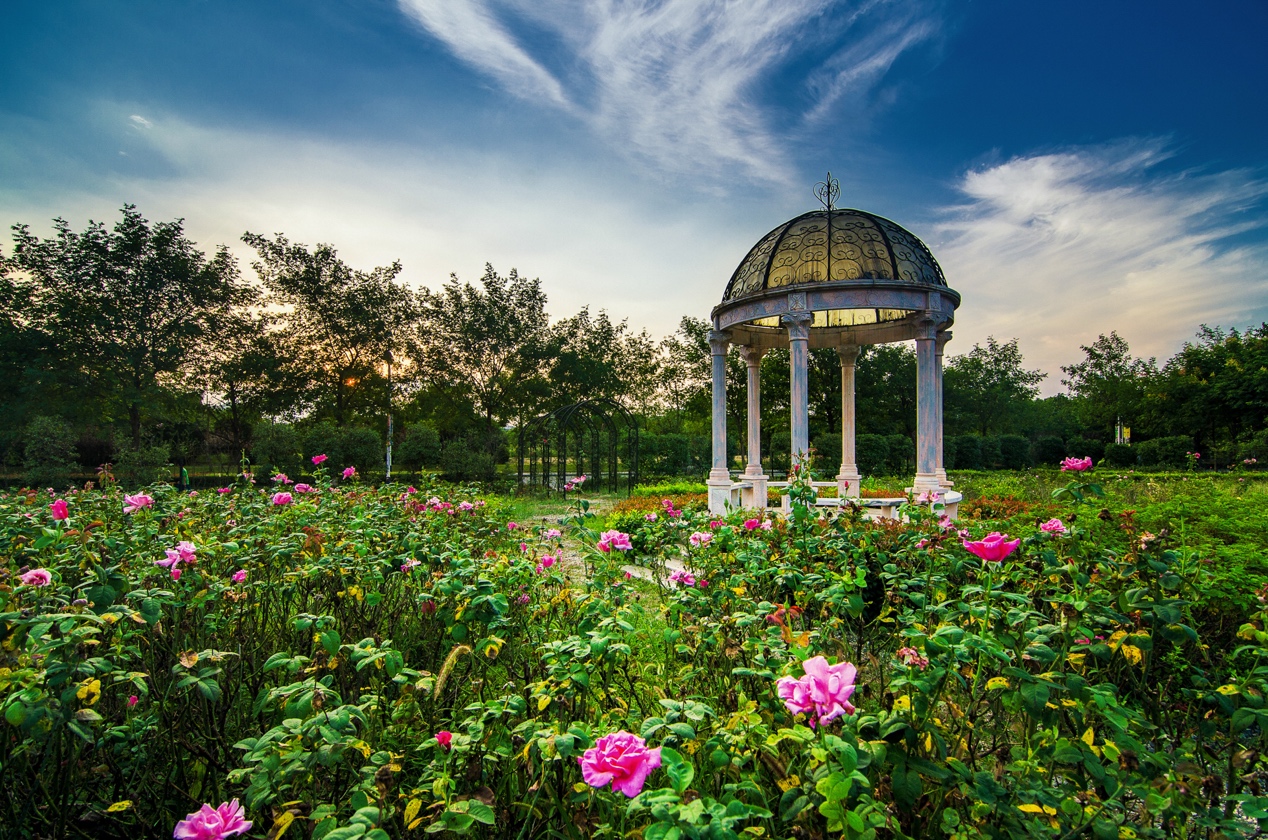 东南大学：我不是“福建大三本”
