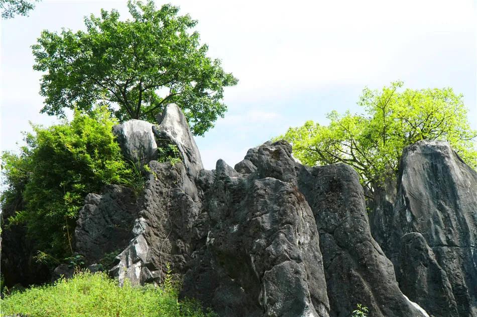 广西：贺州，玉石林，天造地设的汉白玉地质奇观