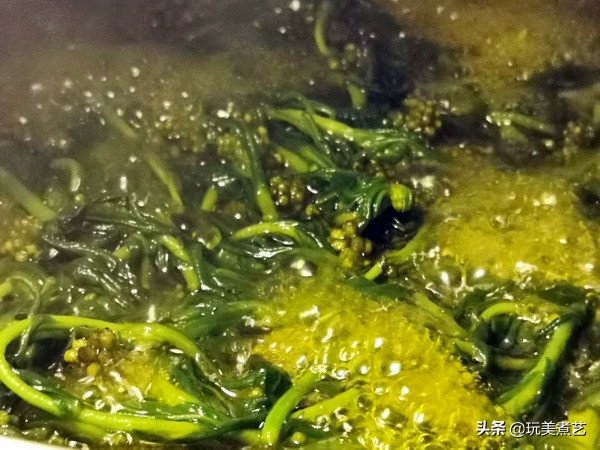 春天的野菜鼠麴草,福州人拿它来制作清明果