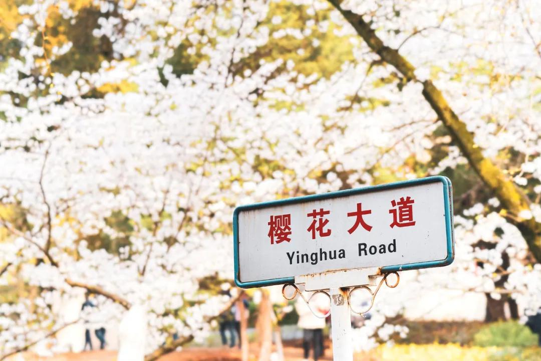 3月最值得去的绝美旅行地,是时候安排一下自己的旅行清单啦