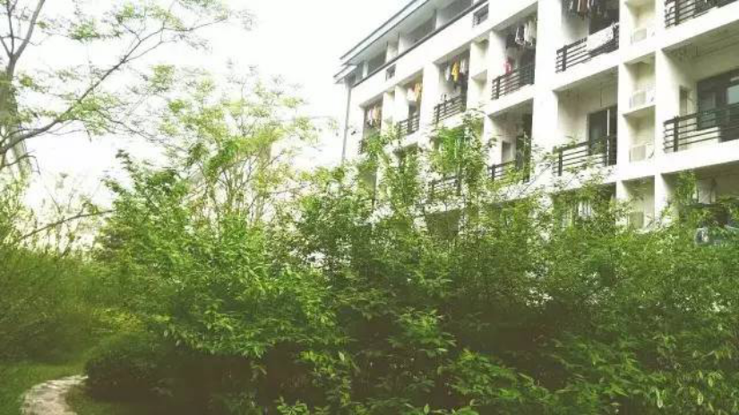 火了！江苏“高颜值”大学：坐拥空调宿舍，出门就是地铁，小龙虾吃到爽！