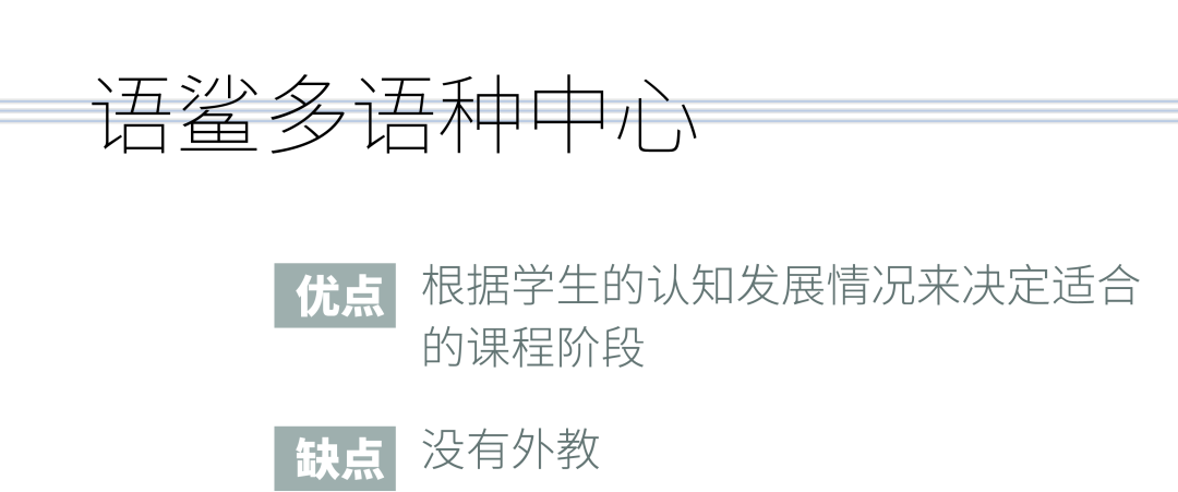 测评丨扎堆开设的小语种机构哪家好？