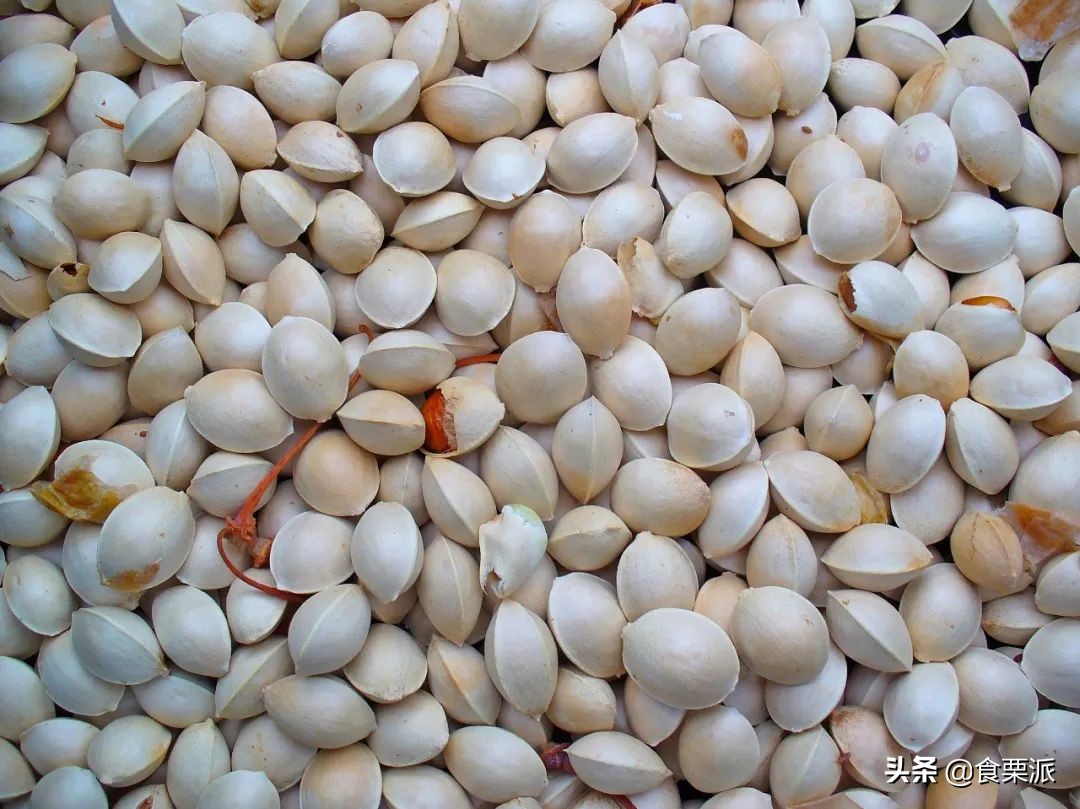 年年有人吃它中毒，一定要吃熟的！一定不要多吃！特别是小朋友