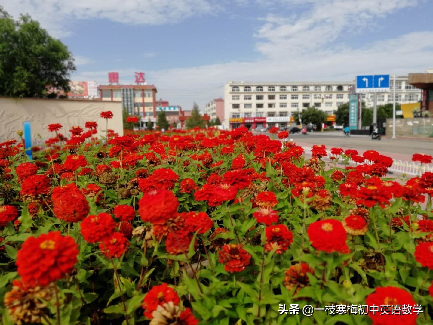 中考话题词汇丨学校和学校生活(四)！