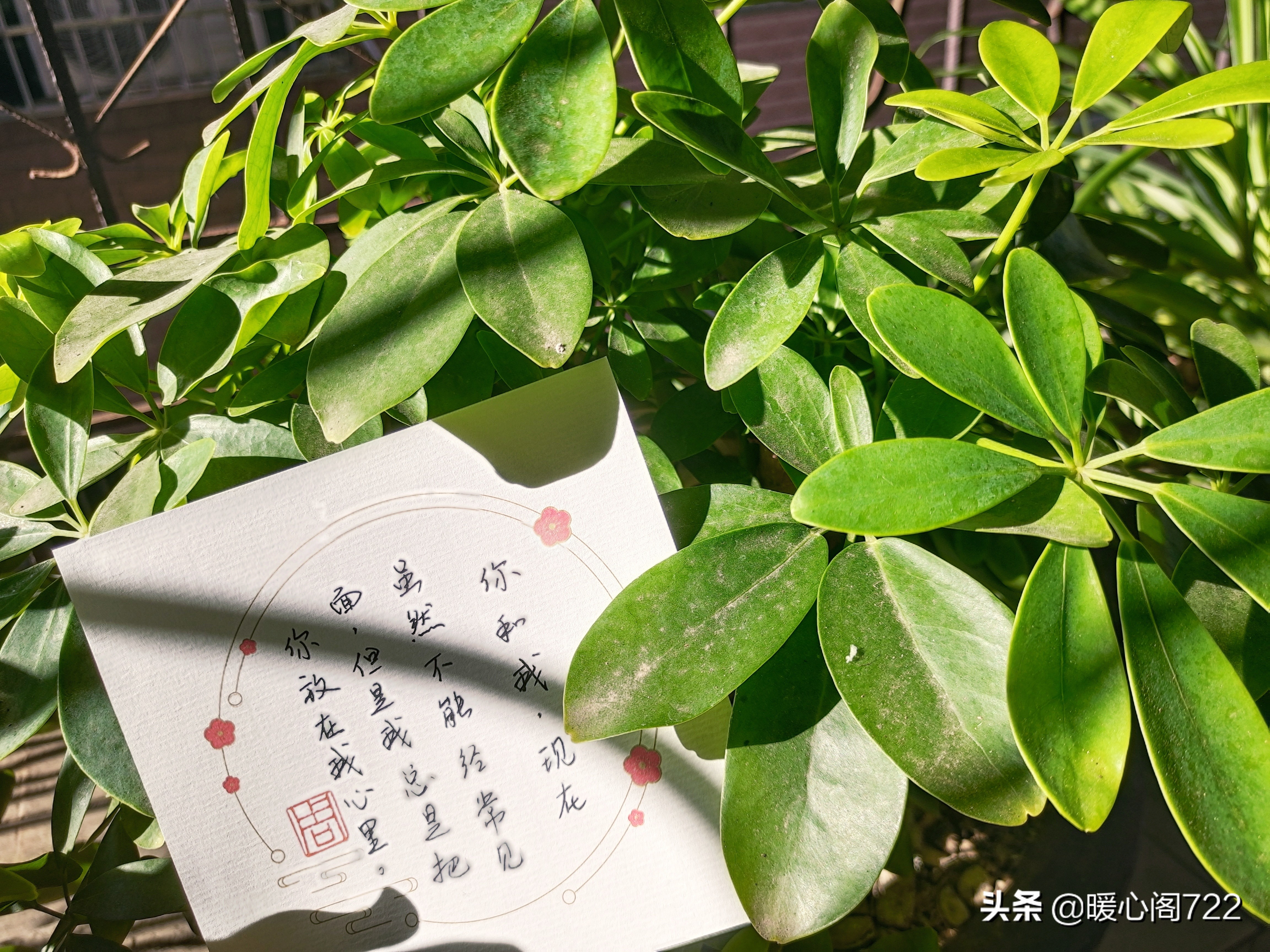 高级又沙雕能把闺蜜感动到哭的文案（高级短句）